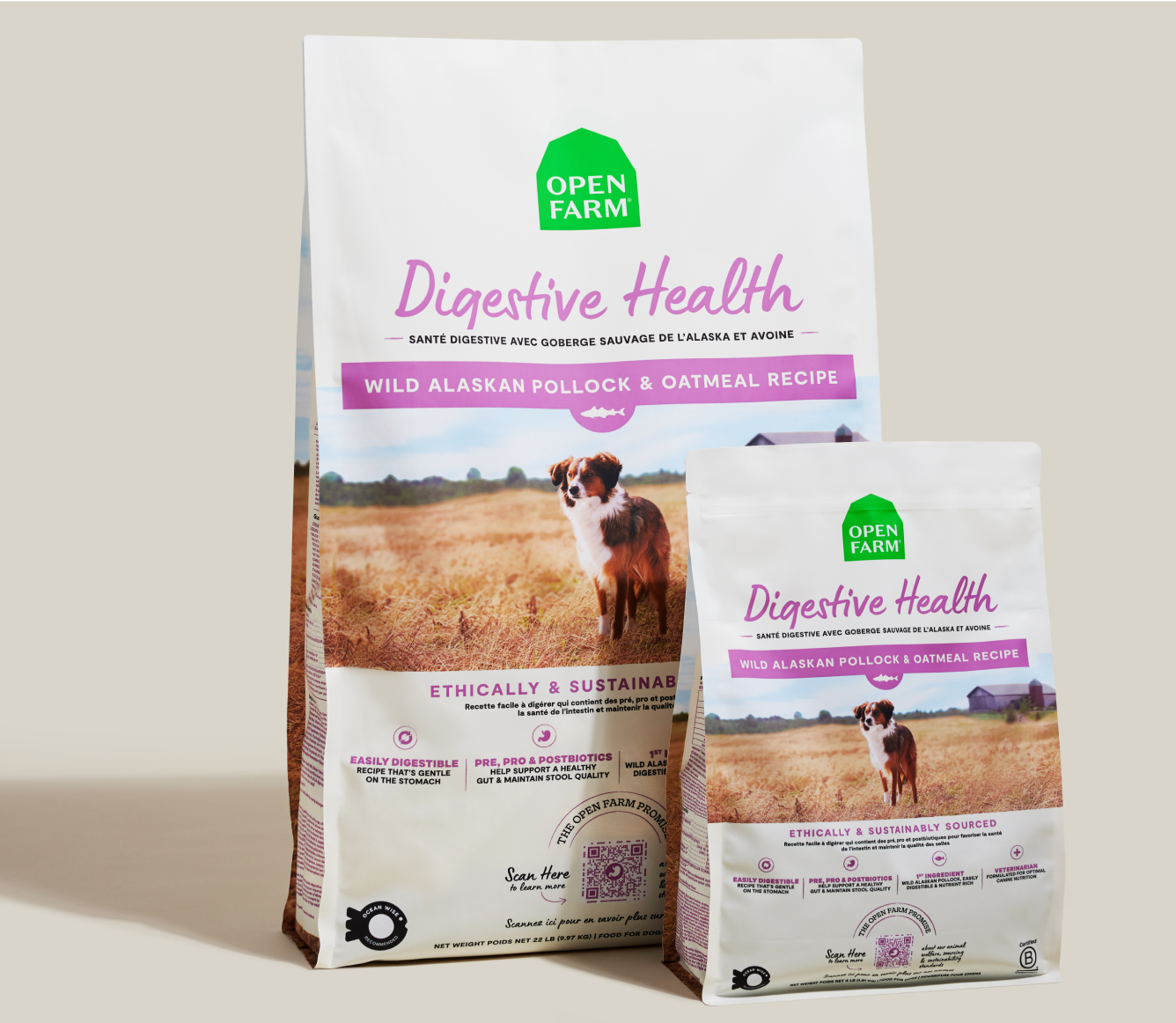 Pollock & Oatmeal Digestive Health Dog Kibble